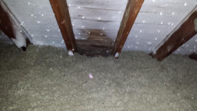 This picture shows frost inside the attic on the underside of the roof deck. This clearly indicates a moisture problem inside the attic.