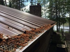 How to Keep Pine Needles Out of Gutters? 