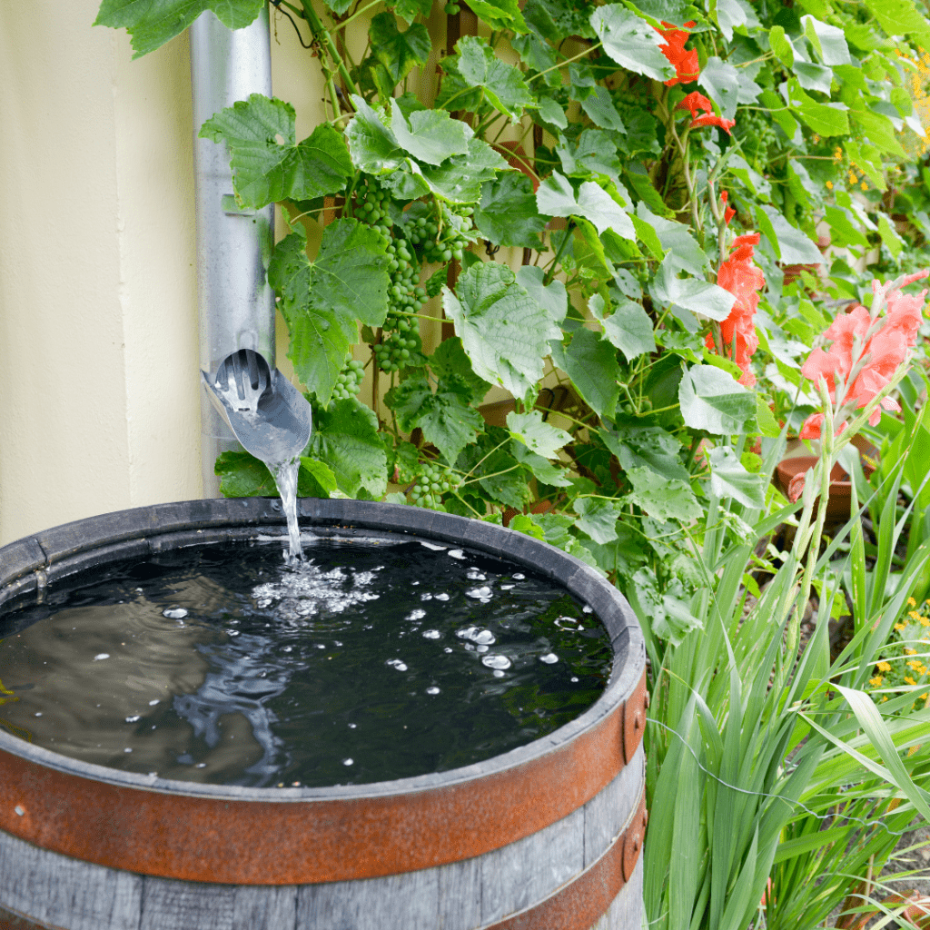 What Are the Benefits of Rain Barrels? - Keeney Home Services
