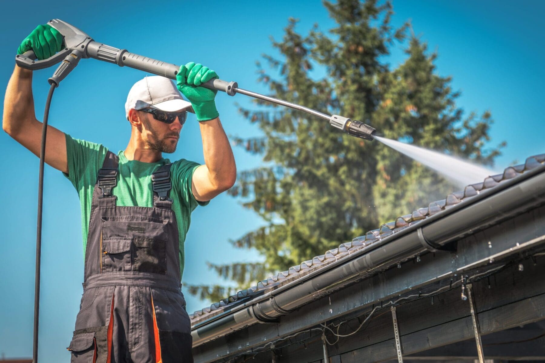 Roof Cleaning Services